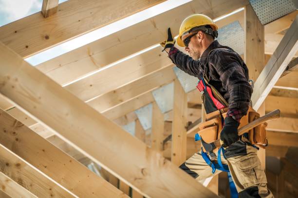Best Roof Gutter Cleaning  in Taylors Falls, MN
